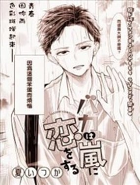  笨蛋愛上暴風雨 