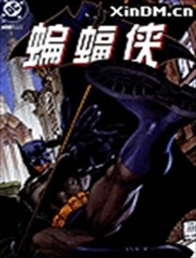  蝙蝠俠 寂靜之戰 