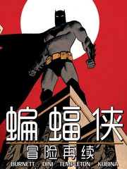 蝙蝠侠-冒险再续_9