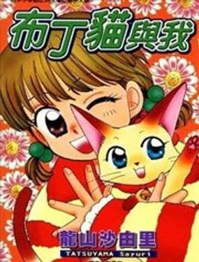 布丁猫与我