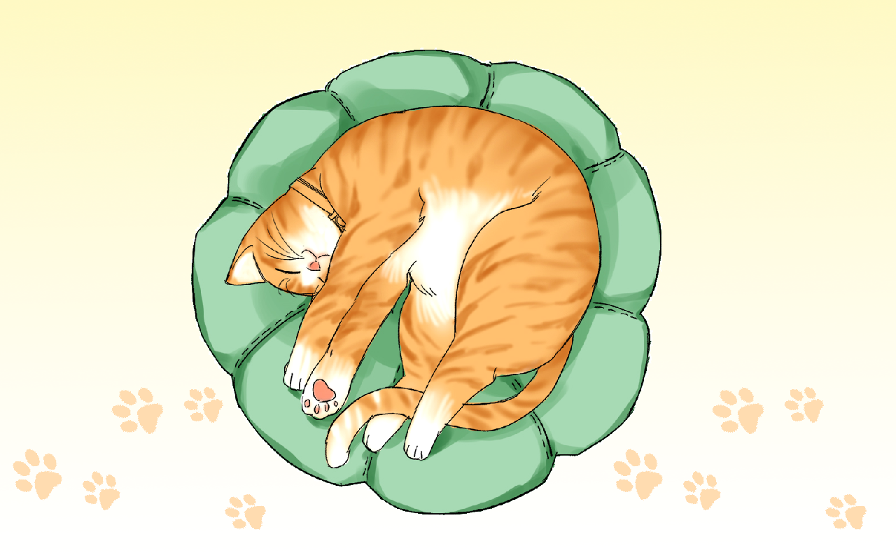藏貓貓