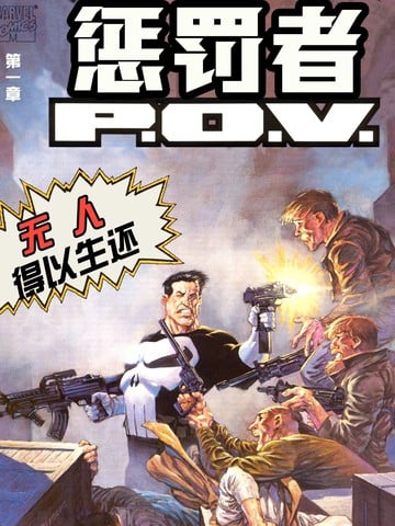 惩罚者：P.O.V.