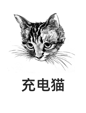 充电猫是什么海报