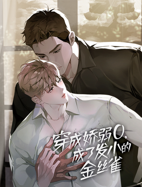 穿成娇弱O，成了发小的金丝雀漫画