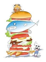 大力猫的囧途生活