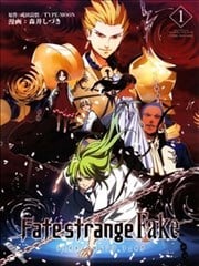 Fate/strangefake