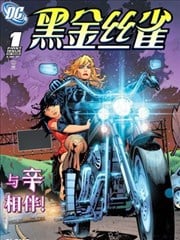 黑金丝雀V3