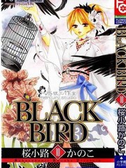 黑鸟恋人(BLACK BIRD)海报
