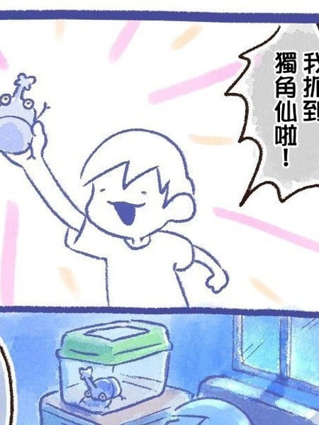 イマソ刈り的宝可梦系列