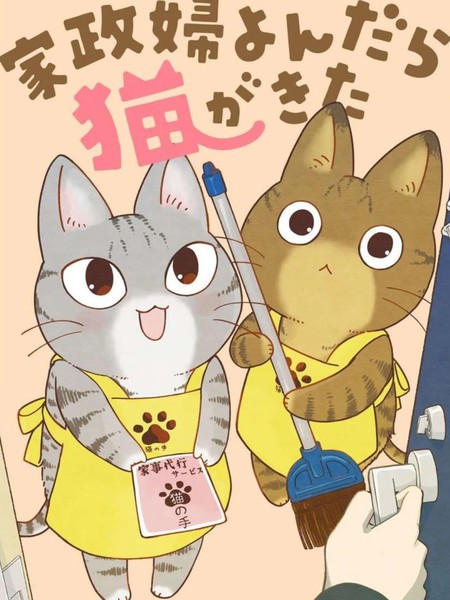 叫了家政来了猫