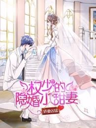 娇妻凶猛:权少的隐婚小甜妻