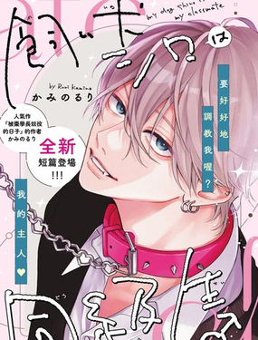 家有爱犬名小城