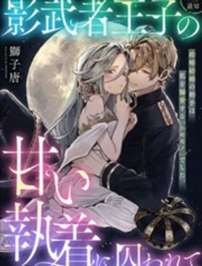  禁錮於替身王子的甜蜜執念 