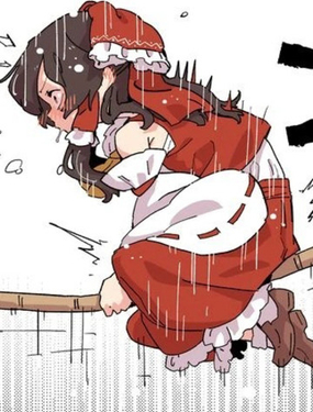  靈夢的掃帚初體驗 