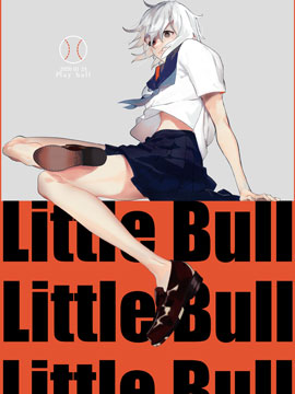LITTLE BULL海报