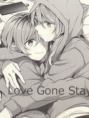 Love Gone Stay海报