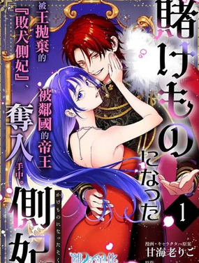  淪爲籌碼的側妃 