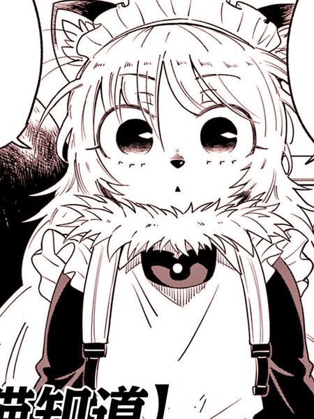 猫知道