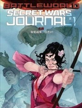 秘密戰爭:日誌