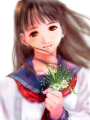 NNOCENCE：美樹本晴彥畫集