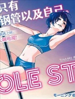 POLE STAR海报