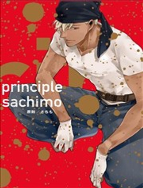 principle原则漫画