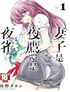  妻子是夜鷹還是夜雀 