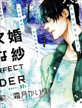  全部成爲F -THE PERFECT INSIDER- 