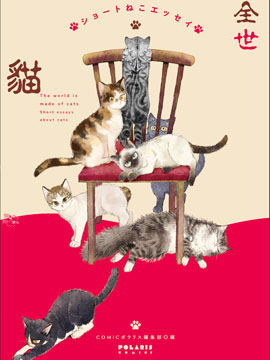 全世猫海报