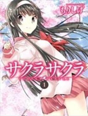 sakura sakura游戏海报