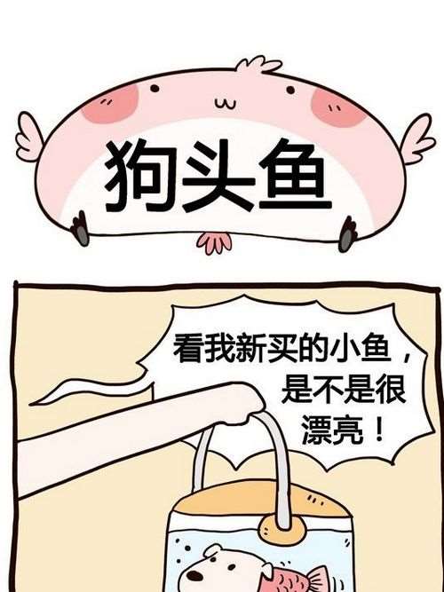 share棒棒日