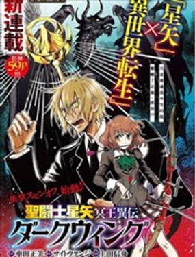 聖鬥士星矢 冥王異傳 漆黑之翼_9