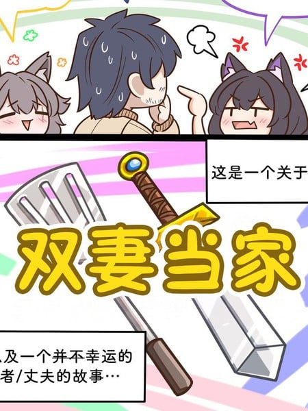 双妻当家