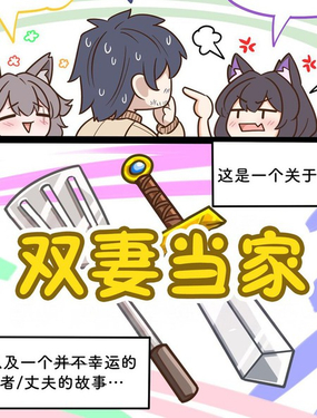  雙妻當家 