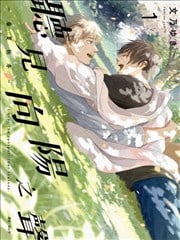 听见向阳之声—春夏秋冬—