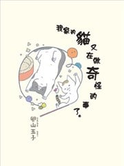 我家的猫又在做奇怪的事了