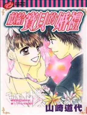 献给宝贝的婚礼漫画