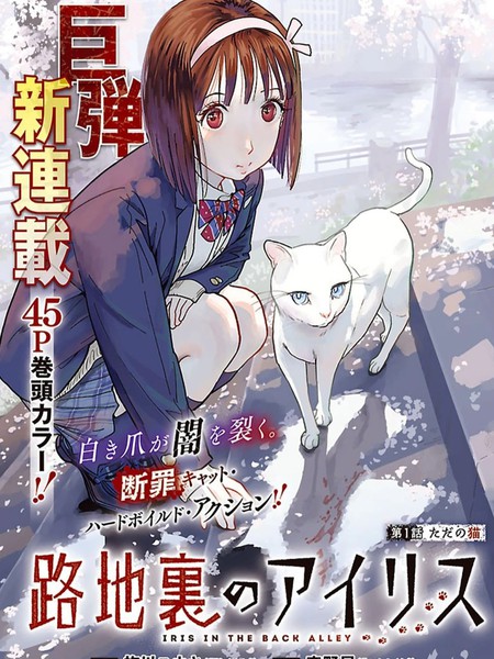 巷子里的艾莉丝