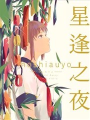 星逢之夜