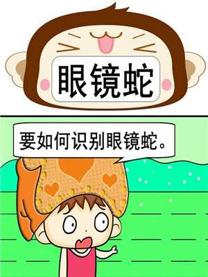 眼镜蛇_9