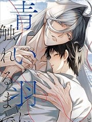 在触碰青色羽毛之前