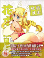戰術仙女花木蘭傳