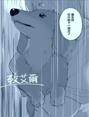 致艾尔