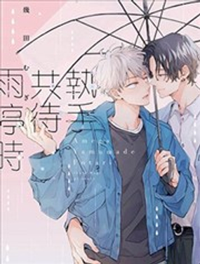 执手共待雨停时封面