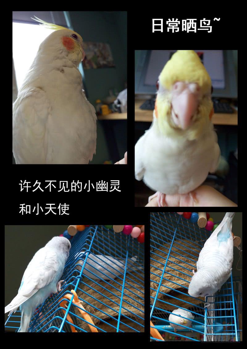 第 16 页
