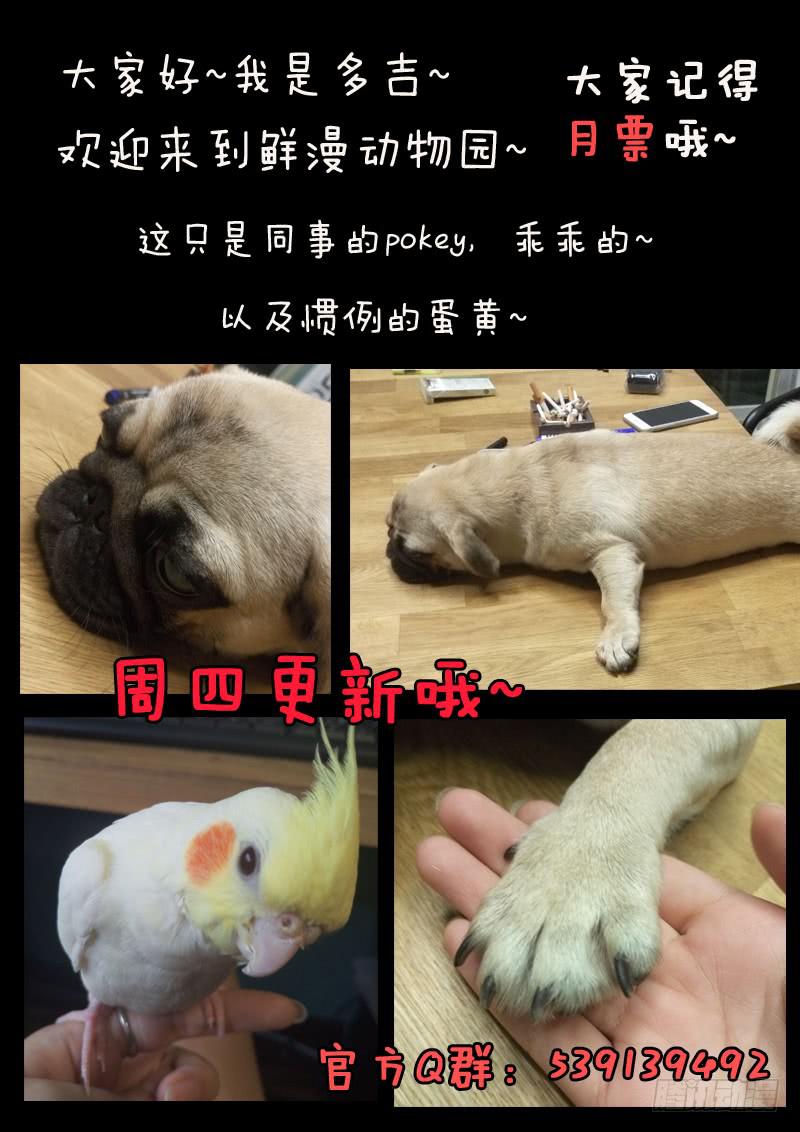 第 17 页