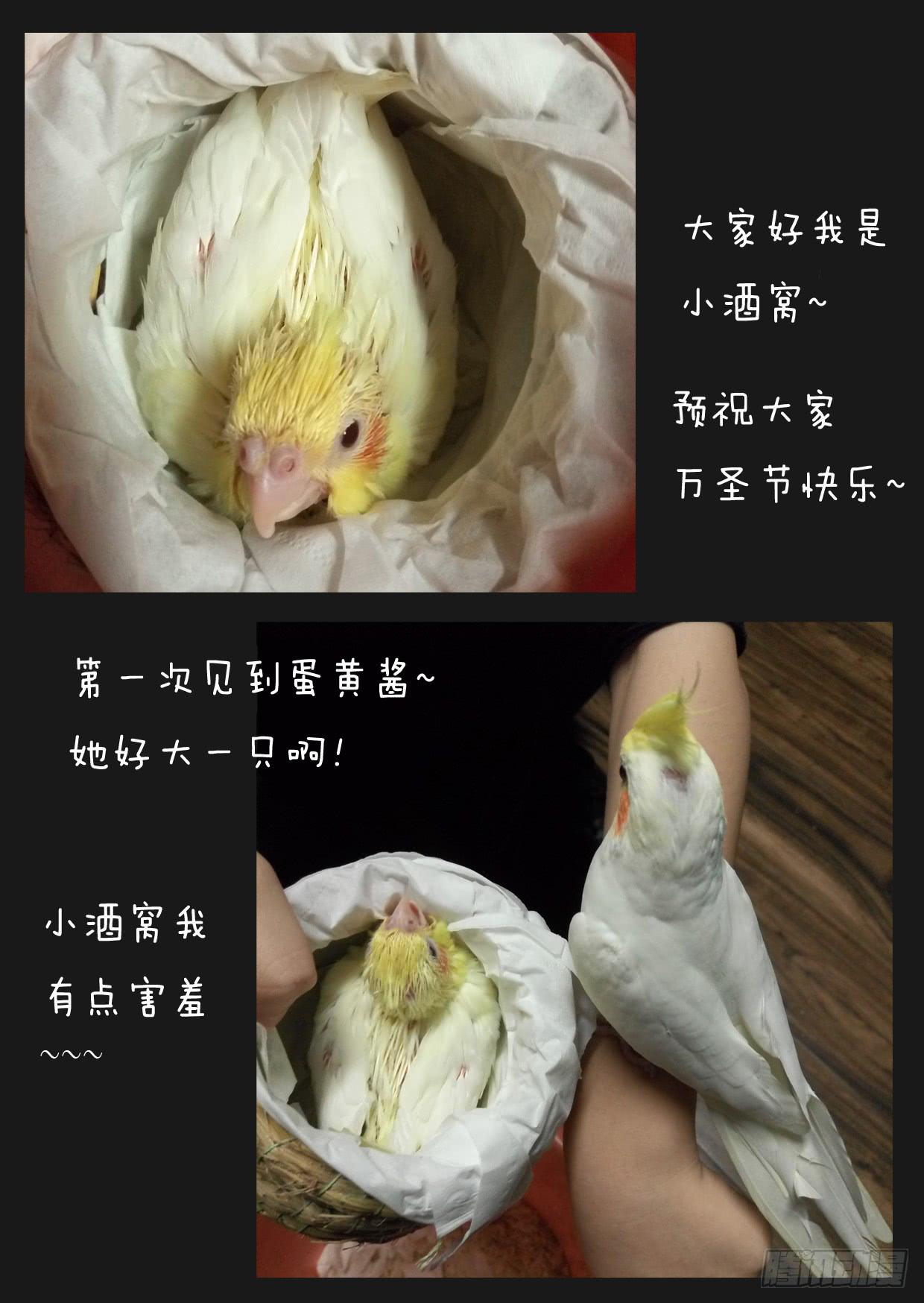 第 11 页