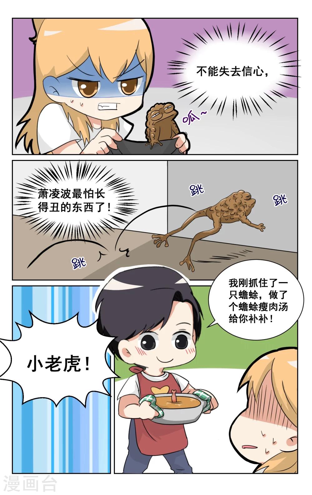 第 6 页