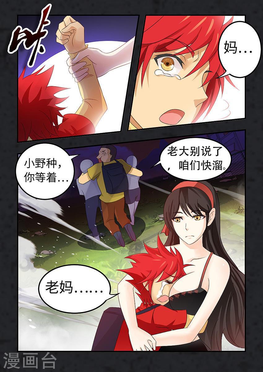 第 6 页