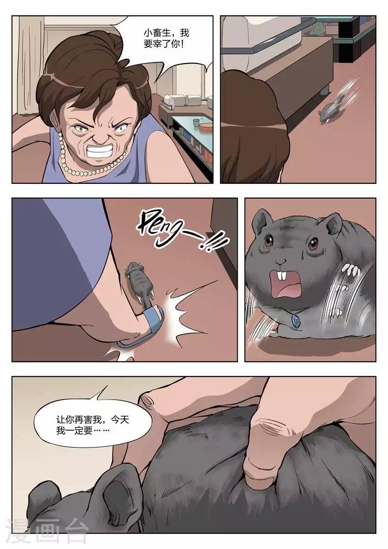 第 34 页